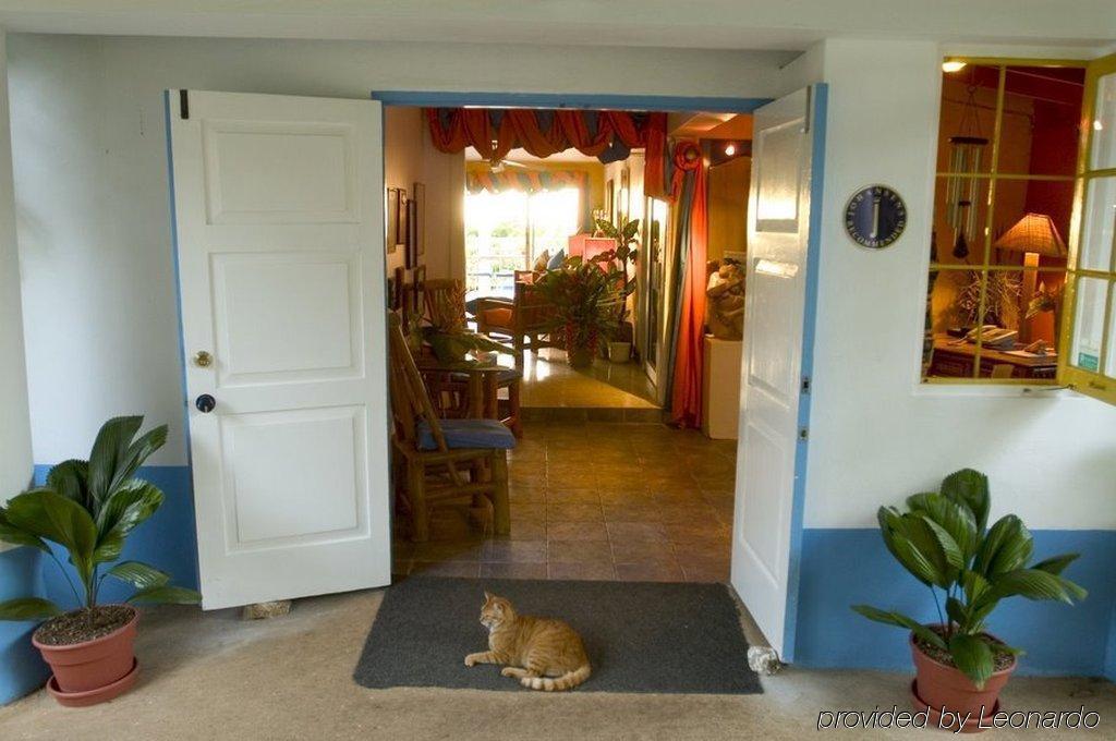 Hotel Mockingbird Hill Port Antonio Interno foto