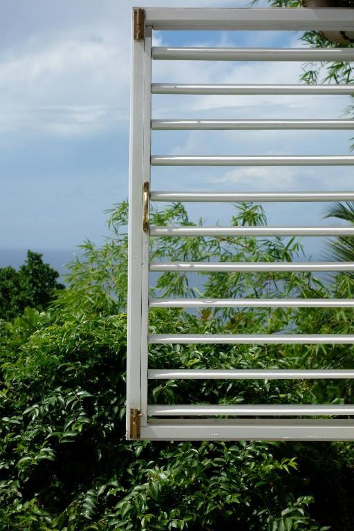 Hotel Mockingbird Hill Port Antonio Camera foto