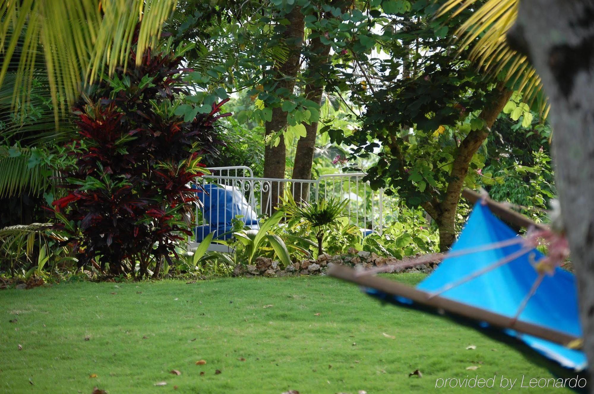 Hotel Mockingbird Hill Port Antonio Servizi foto