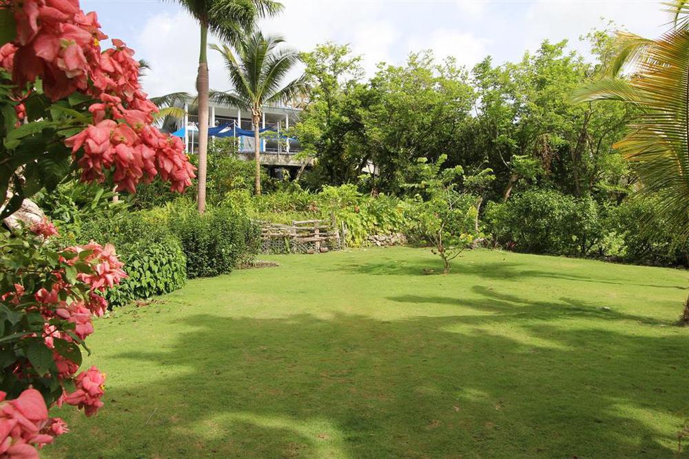 Hotel Mockingbird Hill Port Antonio Esterno foto