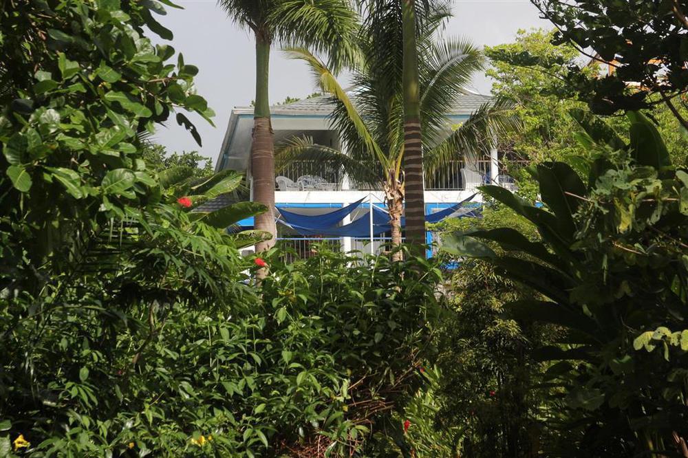 Hotel Mockingbird Hill Port Antonio Esterno foto
