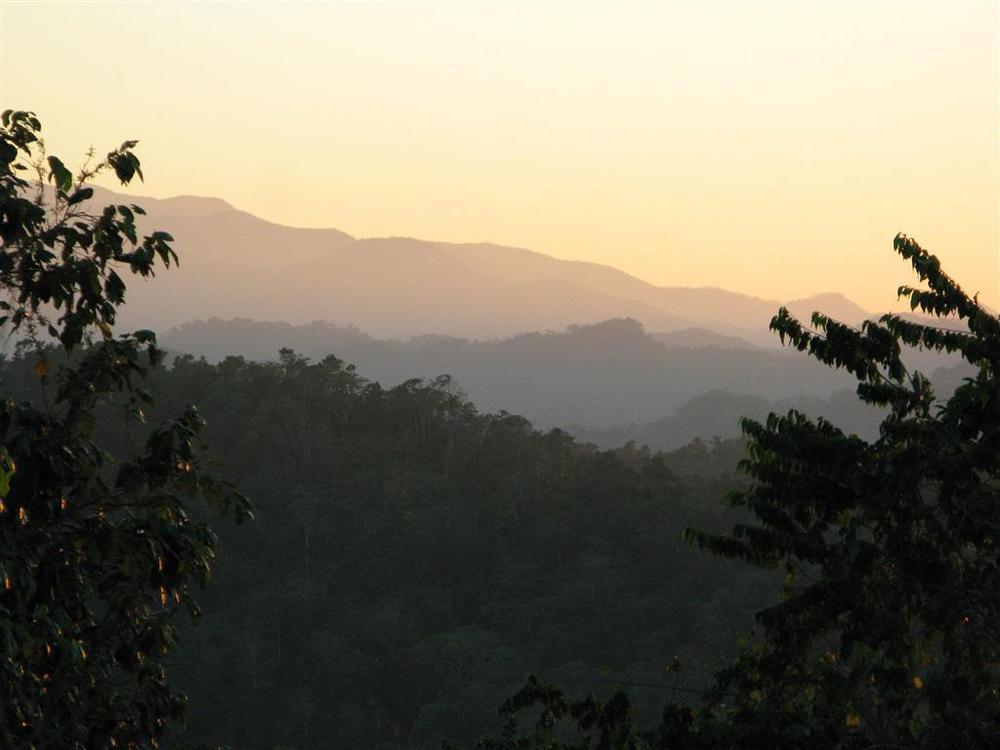 Hotel Mockingbird Hill Port Antonio Amenities foto
