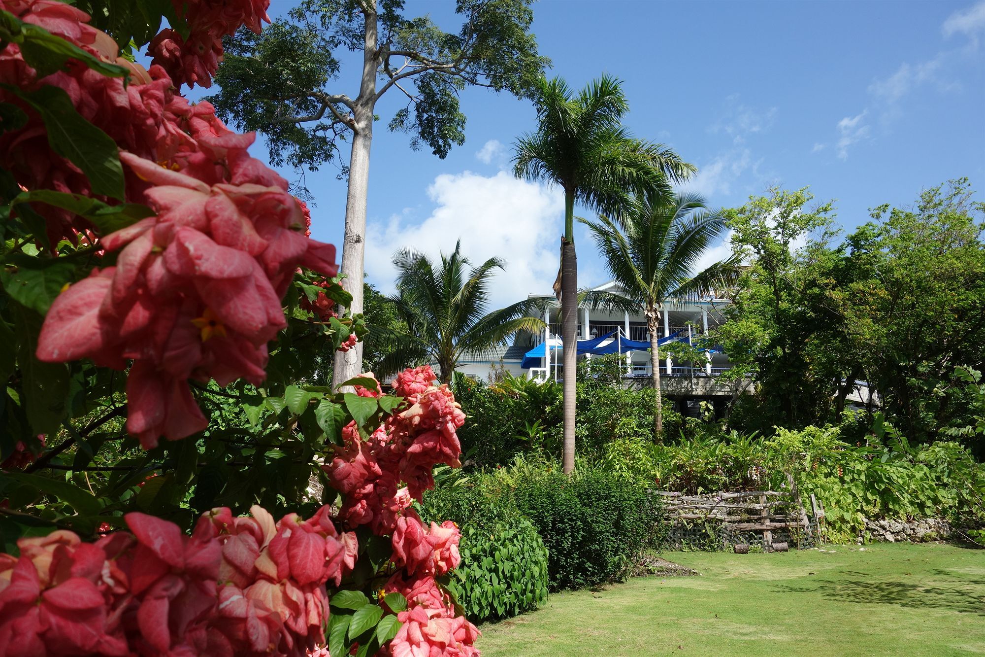 Hotel Mockingbird Hill Port Antonio Esterno foto
