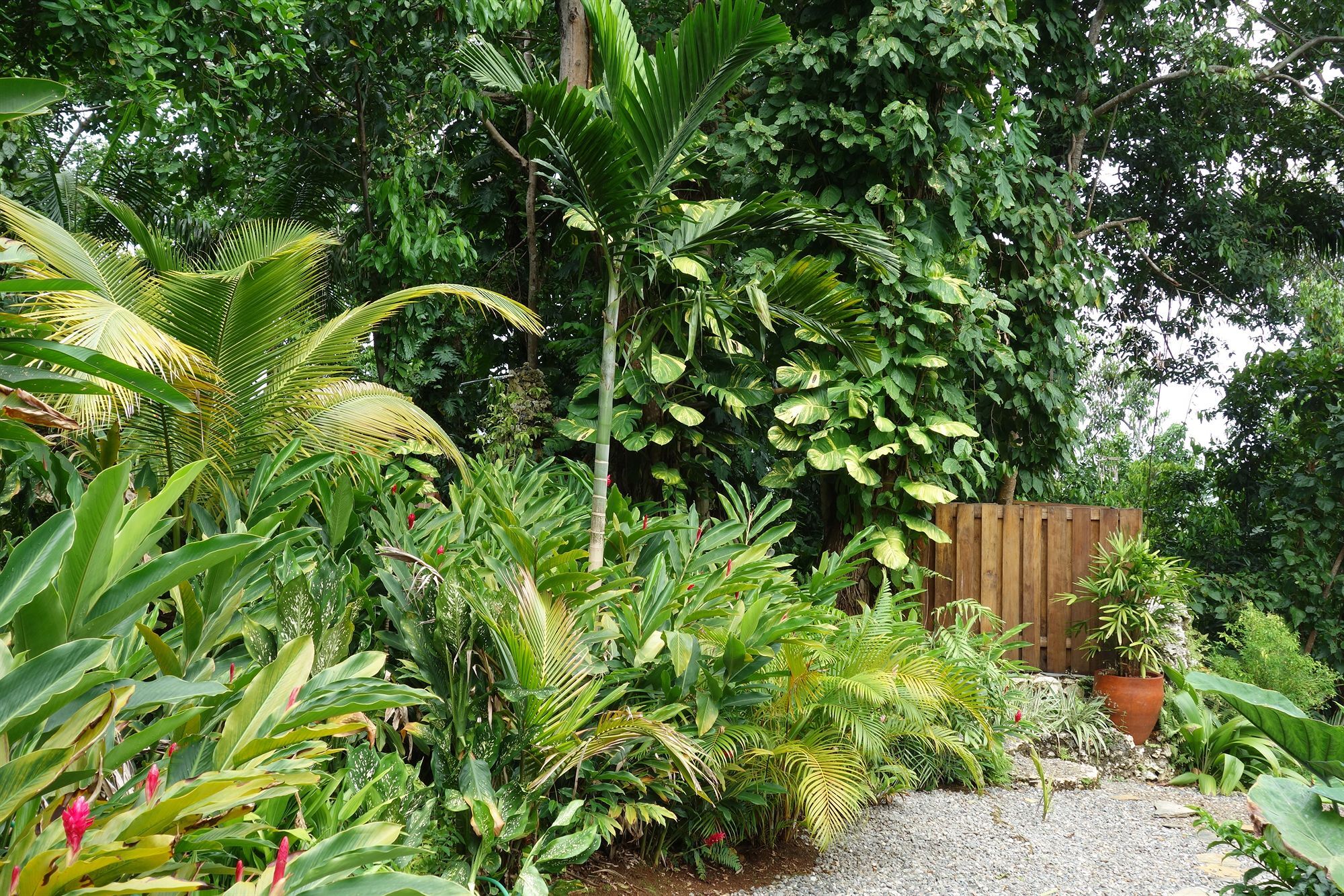 Hotel Mockingbird Hill Port Antonio Esterno foto
