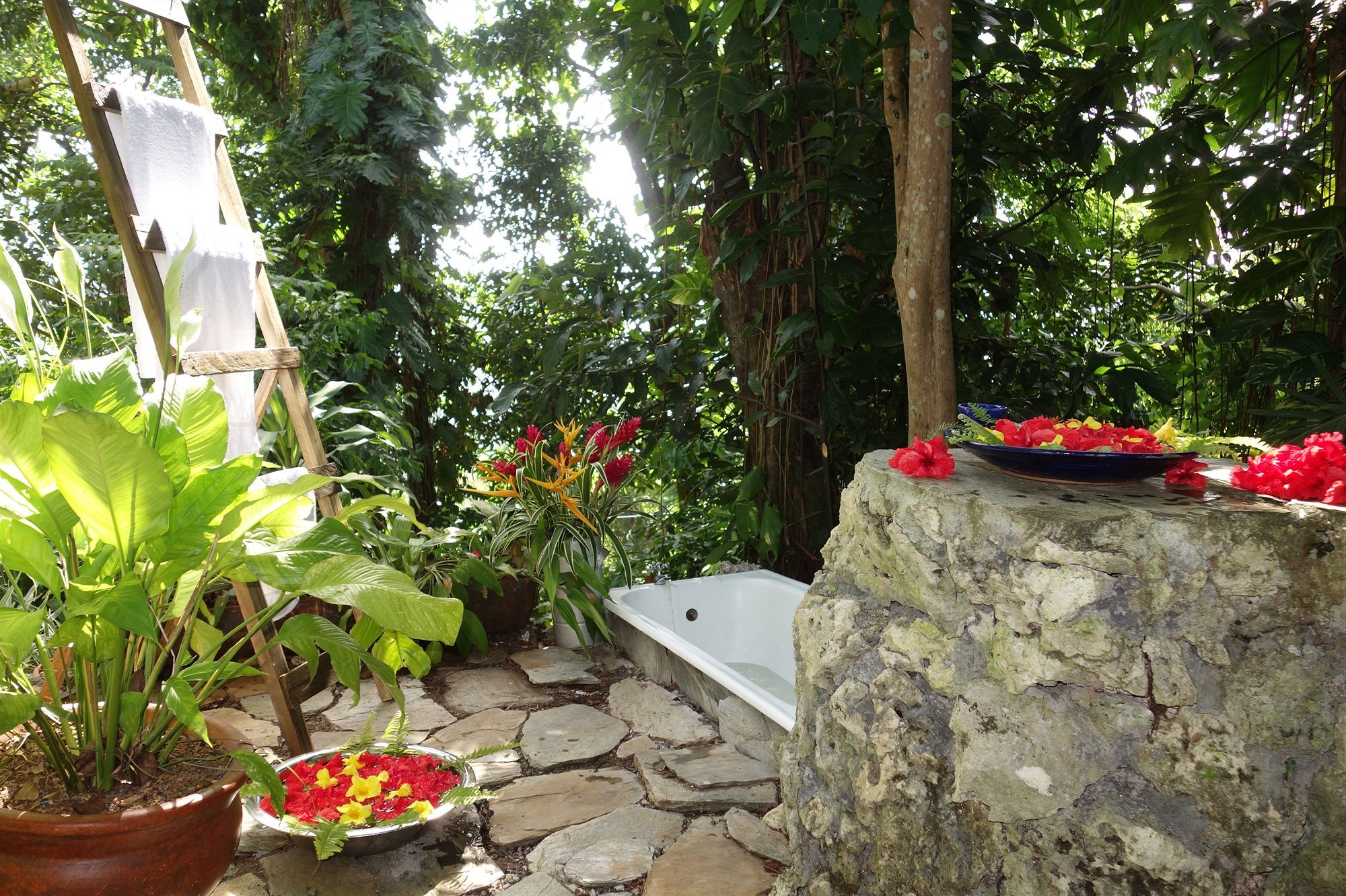 Hotel Mockingbird Hill Port Antonio Esterno foto